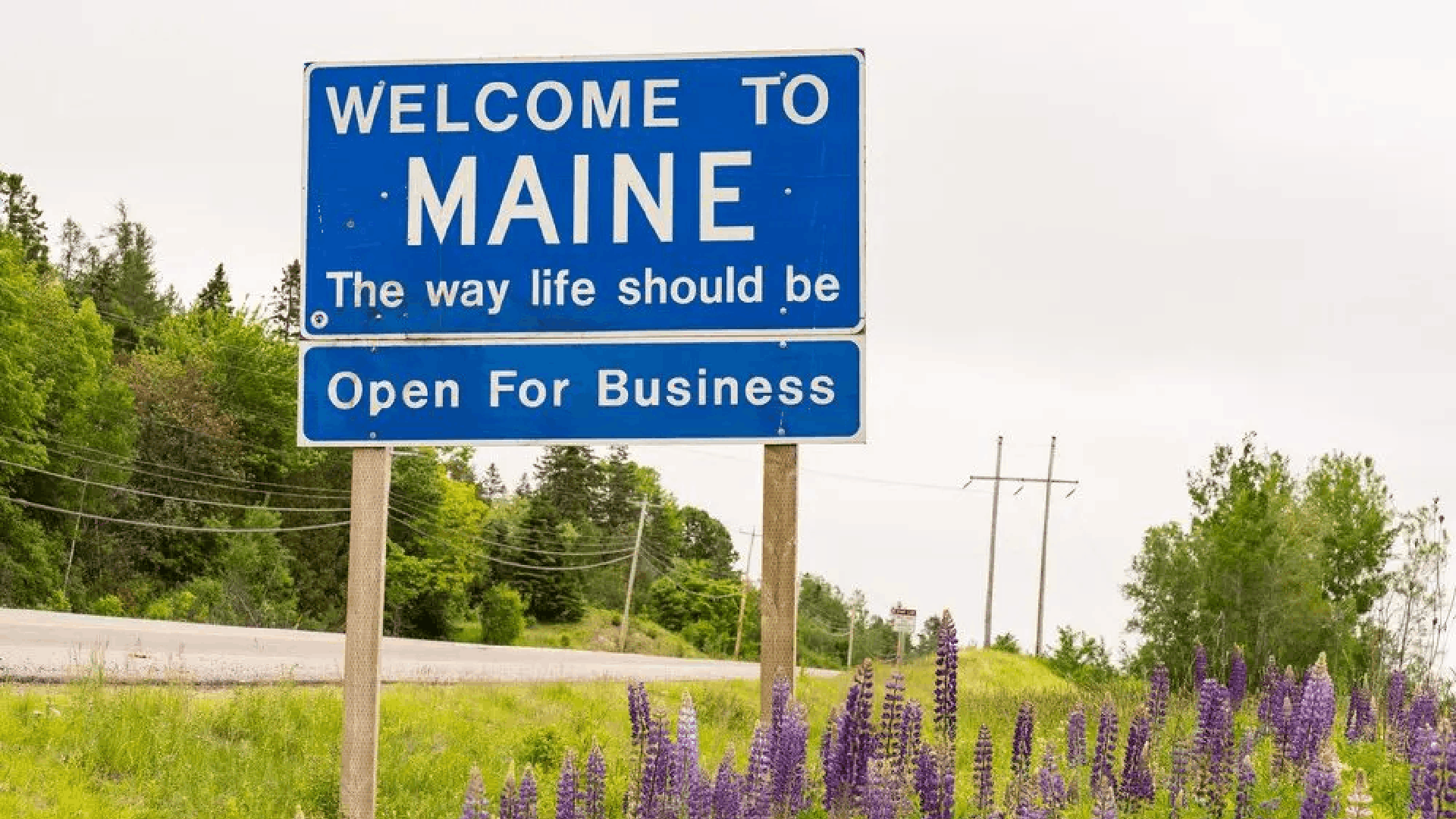 Caesars, DraftKings Seen as Winners as Maine Approves iGaming